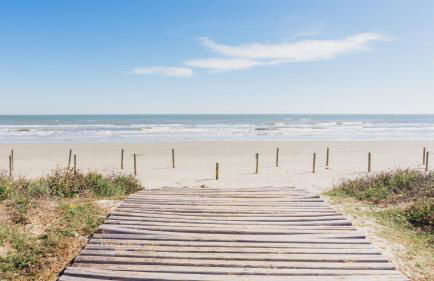 Steps 2 Beach-Ocean View-Pets Welcome-Cowboy Coral - Photo 8