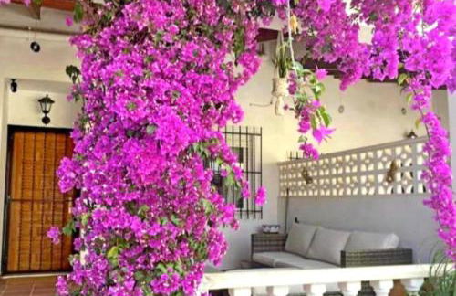 Lomas del Golf, Villamartin maison - Foto 4