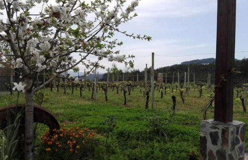 Casa da Tileira - Photo 35