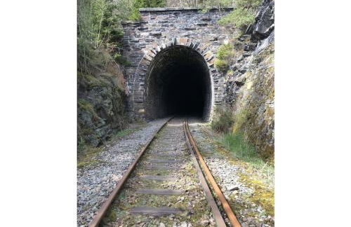 Drachenschwanz am Thuringian Sea - Foto 23