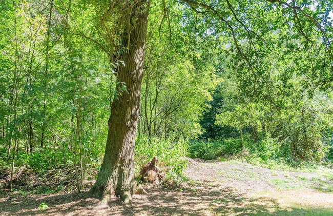 Holiday Home in Lochem With Garden View - Foto 35