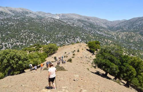 Zaros Cottage - Foto 24