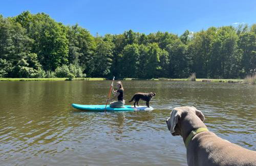 Tawerna Pod Kotwicą pokoje i domy wakacyjne - Foto 21