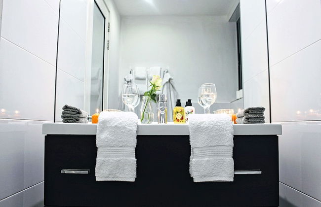 Maltese Maltese - Foto 41