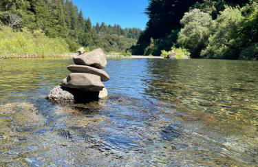 Avenue of the Giants River View Home (#1) - Foto 51