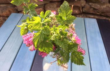 Newton Cottage North - Foto 15