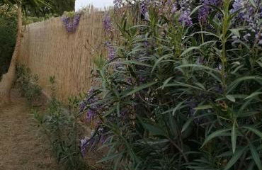 Villa Lory - Foto 20