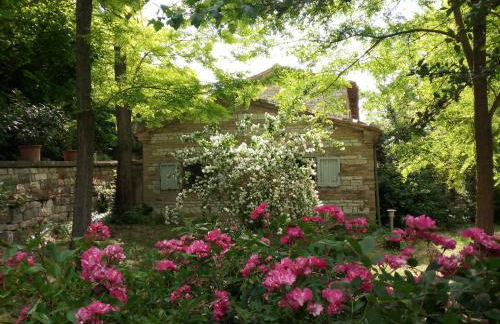 Agriturismo del Frontino - Ca' Benvenuto - Foto 30