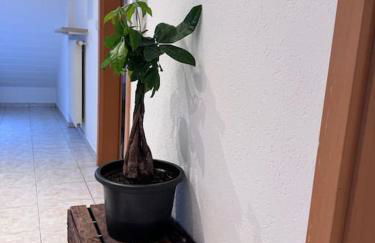 Casa Italia - Foto 17