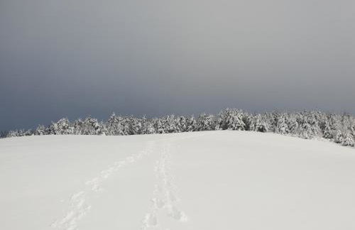 Przystanek Letnisko - Foto 30