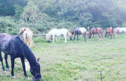 Agriturismo Podere Del Lepre - Foto 18