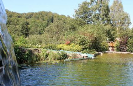 Landgasthof Probstei Zella - Foto 36