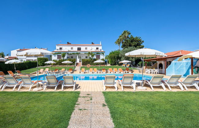 Flor da Laranja - Foto 35