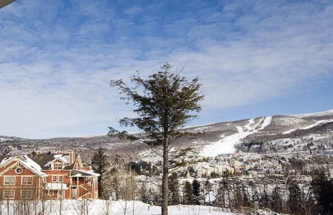 Tremblant-Les-Eaux – RVMT - Photo 46