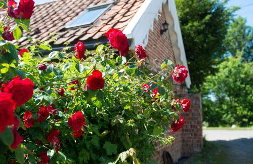 Snow Cottage laid back style with footpaths to a great Macro Brewery Pub - Foto 25