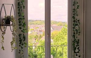 L'Escale Botanique - Foto 15