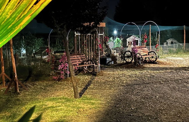 Fattoria Palazzeta Pet & Family Friendly - Foto 4