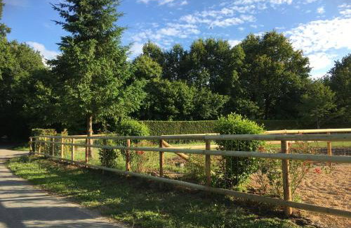 Havre de Paix Gites - Foto 18