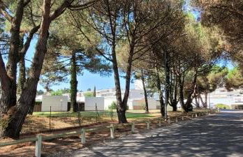 Superbe appartement Arcachon - Photo 13
