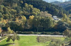 Large family - Foto 50