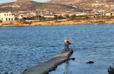 Mike'sPlace - Foto 68