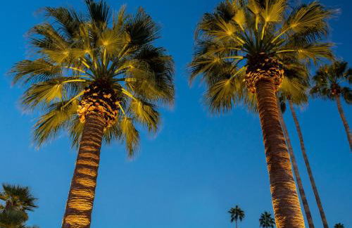 The Icon at Indian Canyons - Foto 61