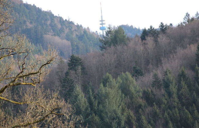 Apartment at the Edge of the Forest - Foto 32