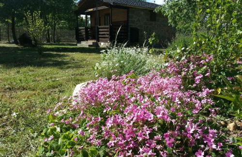 Cabañas Vallecino - Foto 59