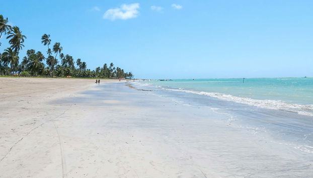Rota de buggy entre Maragogi e São Miguel dos Milagres