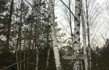 Wiejski domek w środku lasu Osłowo Mielnik - Foto 32