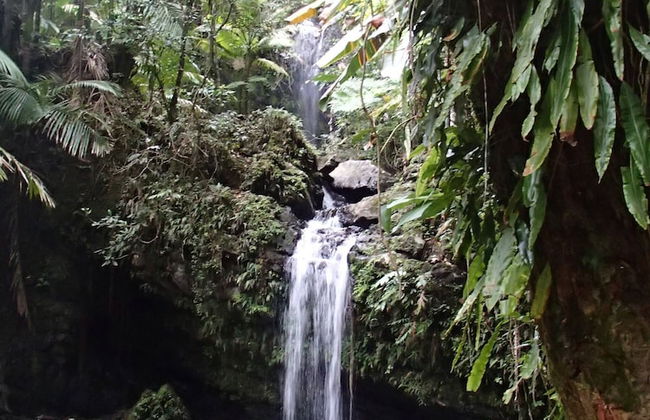 2-units, 1 Price! Group Bundle# Luquillo Beach House! #guest Most Loved Home! - Foto 40