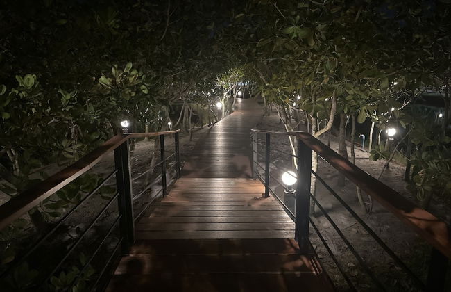 The Beatles Lagoon - Photo 56