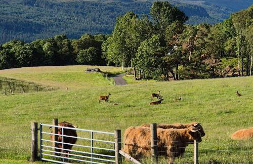 The Old Convent Holiday Apartments - Foto 31