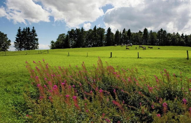 Modern Chalet in Saas-balen With Garden - Foto 41