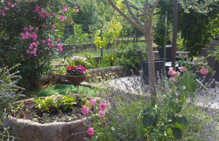 Apartment Rubin - Foto 2