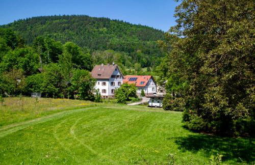 Erholung an den Wasserfällen - Ferienwohnung in Baden-Baden - Stilvolles Apartment mit Terrasse, Parkplatz & ruhiger Lage - Foto 52