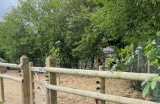 The Old Sty - Foto 14