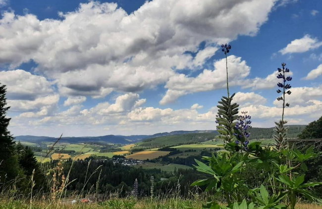 Charmantes Feriendomizil in Medebach - Foto 72