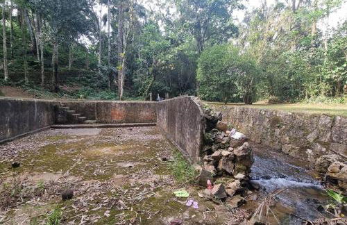 Natureza Instagrmável Casa Penedo - Photo 33