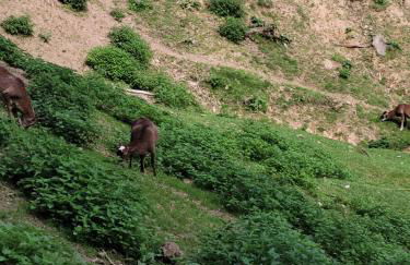 Familiehuis Dolve - Foto 89