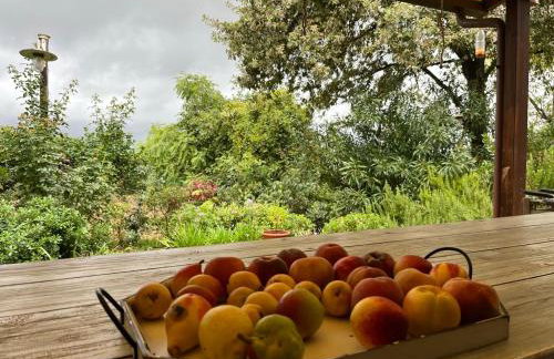 Casa Sant Angelo - Photo 71