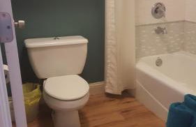 Lake Front cottage - Photo 11