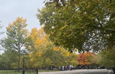 Cozy & Centra 1Bflat - Marylebone - Foto 2