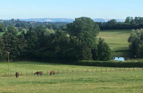 Bugley Cottage - Foto 30