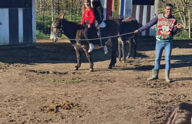 Gojim Casa Rural - Foto 69