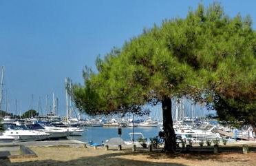 Apartment Zovko - Foto 20