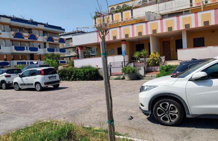 Casa Alma del mar - Photo 24