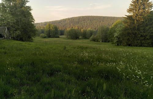 Ferienhaus Schellerhäusl - Foto 30