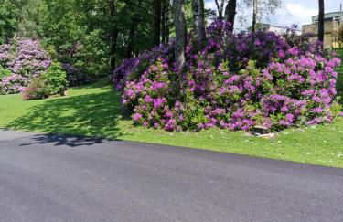 Forest Valley Holiday Home - Foto 31