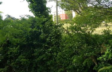 Le Nomade, Parc Montcalm et stationnement privé - Foto 25